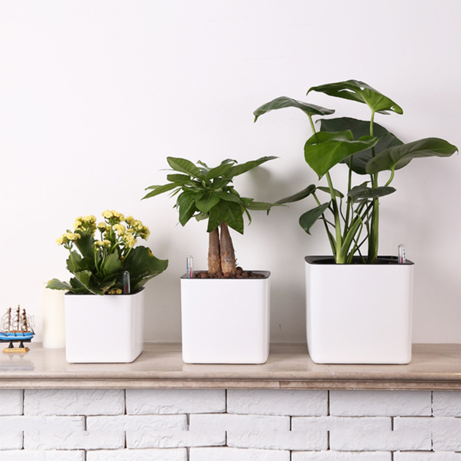 Self Watering Planter Self-wat - огляд і ціна Self Watering Insert