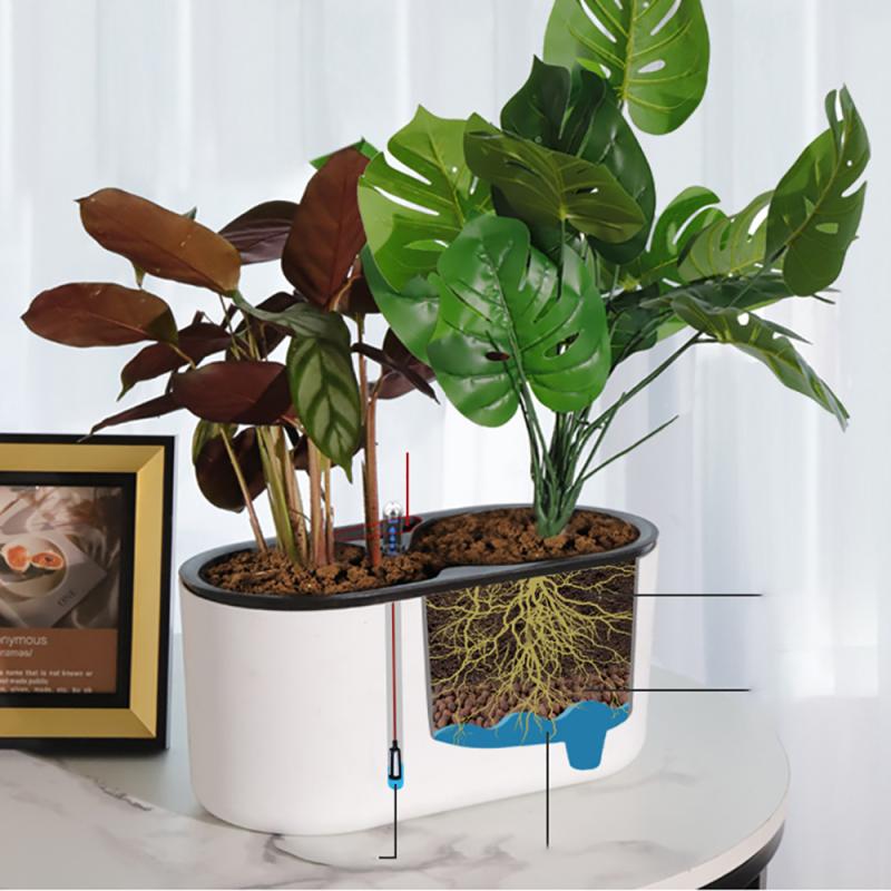 Indoor Plant With Indicator Wo - огляд і ціна Self Watering Insert