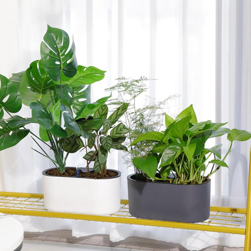 Indoor Plant With Indicator Wo - огляд і ціна Self Watering Insert