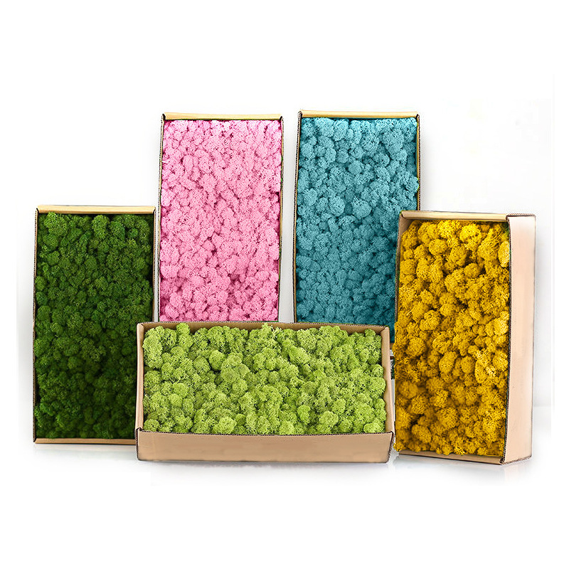 Artificial Green Plants Mini L - огляд і ціна Sphagnum Moss Dry