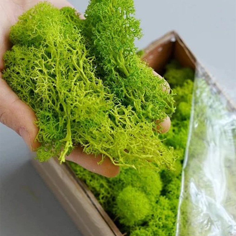 200g Artificial Green Plants M - огляд і ціна Sphagnum Moss Dry